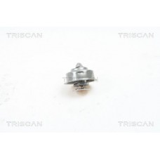 8620 1991 TRISCAN Термостат охолоджувальна рідина