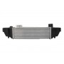 DA03002TT THERMOTEC Интеркулер