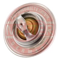 050121113C-PCS-MS MASTER-SPORT GERMANY Термостат охолоджувальна рідина