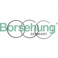 B19040 Borsehung Комплект поршневих кілець
