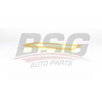 BSG 70-135-017 BSG Повітряний фільтр