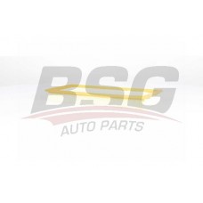 BSG 70-135-017 BSG Повітряний фільтр