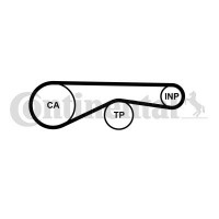 CT1095 CONTINENTAL CTAM Зубчастий ремінь