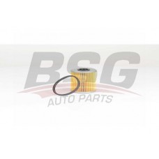 BSG 65-130-010 BSG Паливний фільтр