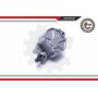 18SKV047 ESEN SKV вакуумний насос гальмова система