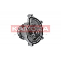 T0182 KAMOKA Водяний насос охолодження двигуна