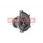 T0182 KAMOKA Водяний насос охолодження двигуна