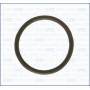 00842000 AJUSA Прокладка, термостат