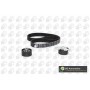 WG1487946 WILMINK GROUP Комплект ременя ГРМ