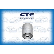 CBH01021 CTE Підвіска важіль незалежної підвіски колеса