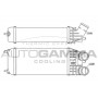 Интеркулер AUTOGAMMA 105675