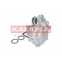 T0049 KAMOKA Водяний насос охолодження двигуна