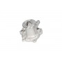 TW-1116 KAVO PARTS Водяний насос охолодження двигуна