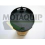 Повітряний фільтр MOTAQUIP VFA1168