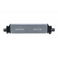 30963 NRF Интеркулер