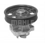 CP 96 000S MAHLE Водяний насос охолодження двигуна