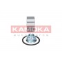 5600054 KAMOKA Комплект підшипника ступиці колеса