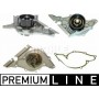 CP 38 000P MAHLE Водяний насос охолодження двигуна