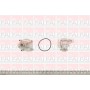 WP6430 FAI AutoParts Водяний насос охолодження двигуна