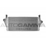 103063 AUTOGAMMA Интеркулер