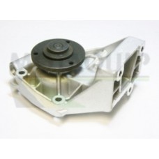 VWP704 MOTAQUIP Водяний насос охолодження двигуна
