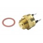 6010.88D BorgWarner (Wahler) Термовимикач вентилятор радіатора