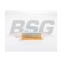 BSG 30-135-030 BSG Повітряний фільтр