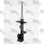 F210G0209 FISPA Амортизатор