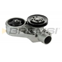 WP0101 BREMSI Водяний насос охолодження двигуна