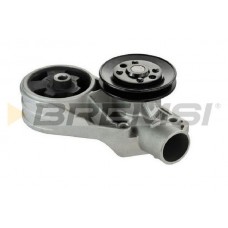 WP0101 BREMSI Водяний насос охолодження двигуна