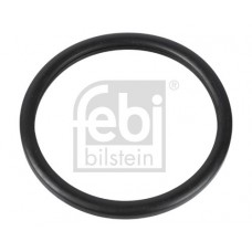 10255 FEBI BILSTEIN Прокладка, термостат