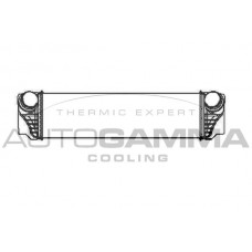 Интеркулер AUTOGAMMA 105332