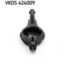VKDS424009 SKF ASAM