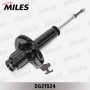DG21524 MILES Амортизатор