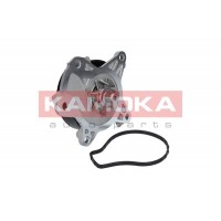 T0262 KAMOKA Водяний насос охолодження двигуна