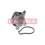 T0262 KAMOKA Водяний насос охолодження двигуна