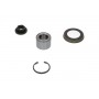 WBK-4538 KAVO PARTS Комплект підшипника ступиці колеса