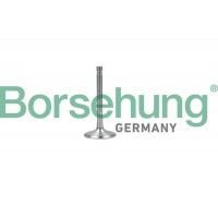 випускний клапан Borsehung B19001