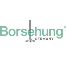випускний клапан Borsehung B19001