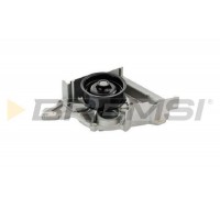 WP0089 BREMSI Водяний насос охолодження двигуна
