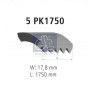 4.81420 DT Spare Parts Поліклиновий ремінь