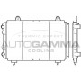 100035 AUTOGAMMA Радіатор охолодження двигуна