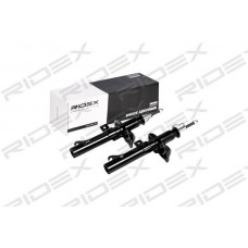 854S1597 RIDEX Амортизатор