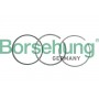 B19046 Borsehung Комплект поршневих кілець
