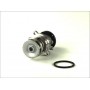 D1B017TT THERMOTEC Водяний насос охолодження двигуна