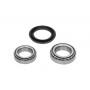 WBK-6523 KAVO PARTS Комплект підшипника ступиці колеса