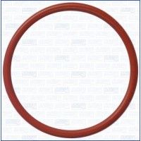 WG1451913 WILMINK GROUP Прокладка, Паливний Насос високого тиску
