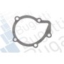 PA5509 BUGATTI Водяний насос охолодження двигуна