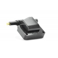 155287 EFI AUTOMOTIVE Котушка запалювання