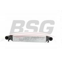 BSG 60-535-001 BSG Интеркулер